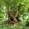 IMG-2349a.jpg