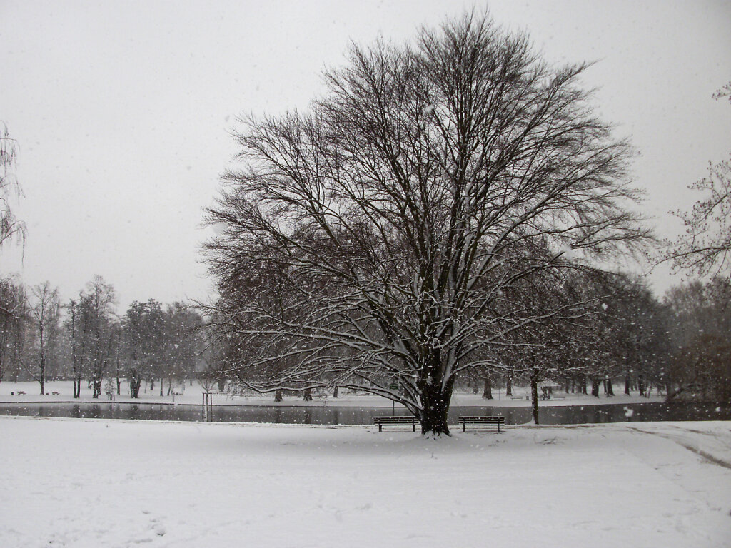 PICT0125.JPG