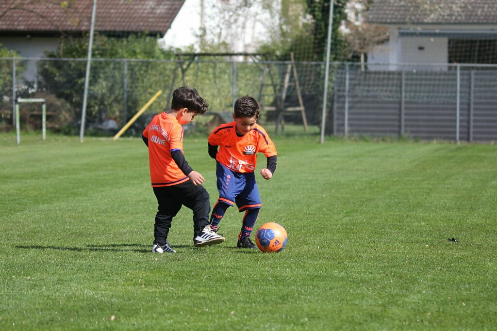 IMG-4700.JPG
