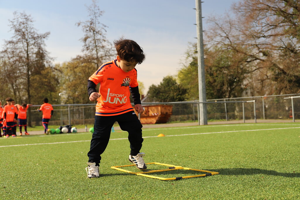 IMG-4762.JPG