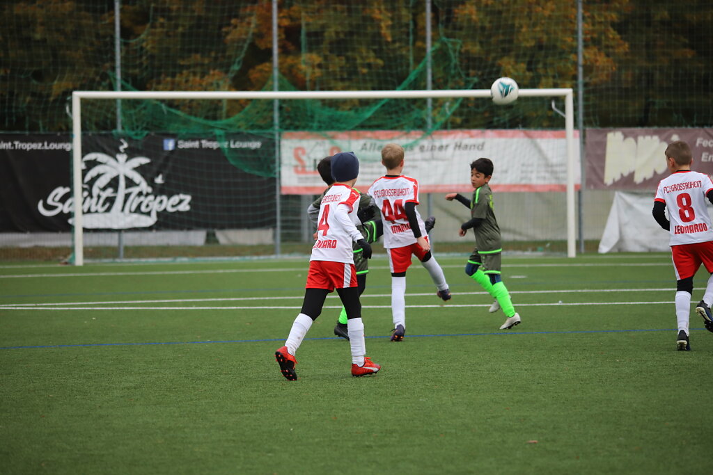IMG-9335.JPG