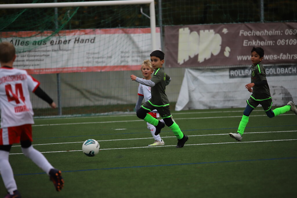 IMG-9338.JPG