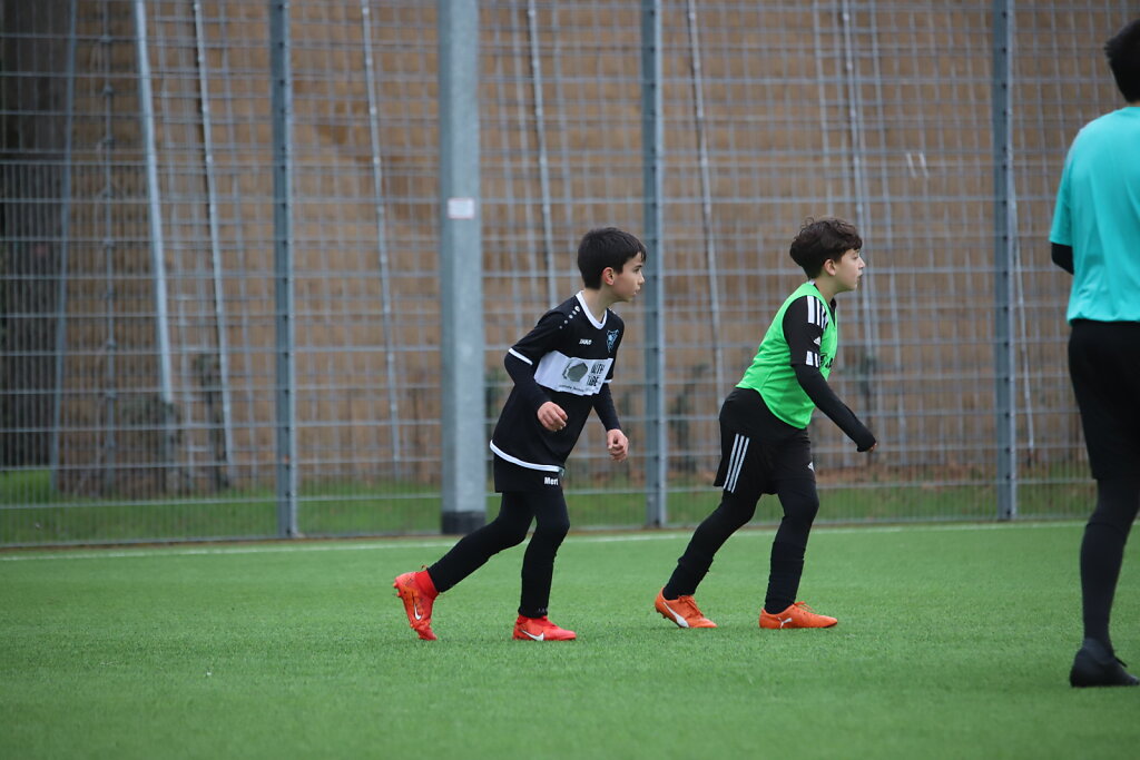 IMG-4920.JPG