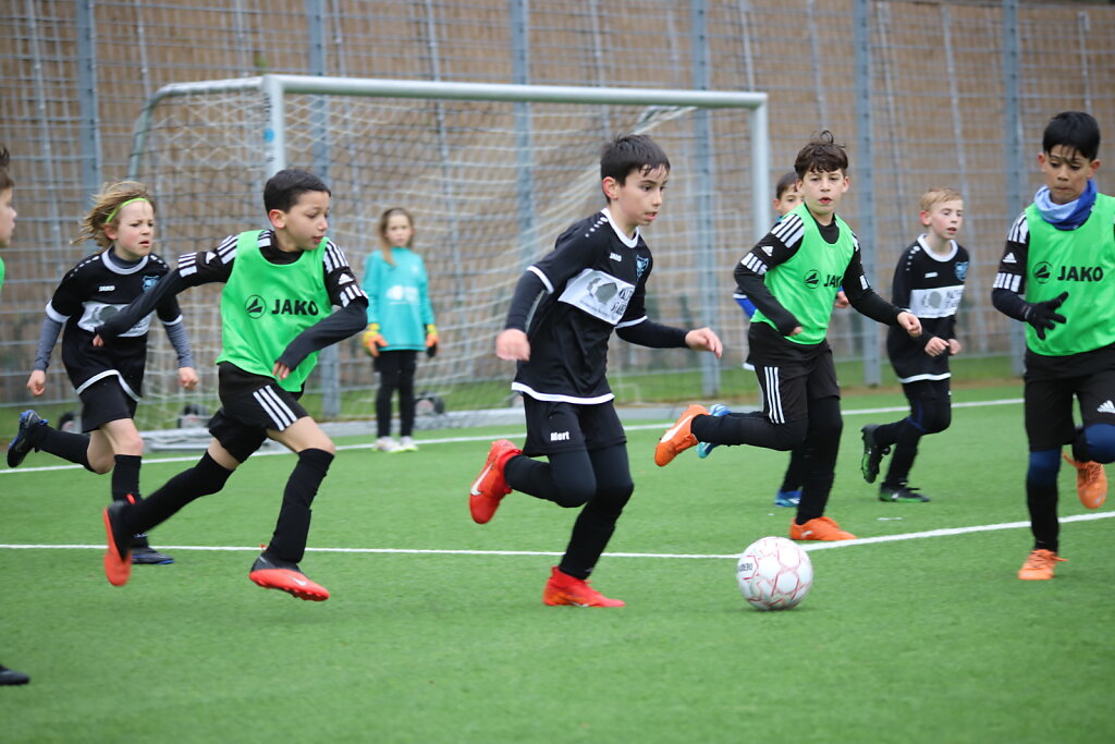 IMG-4936.JPG