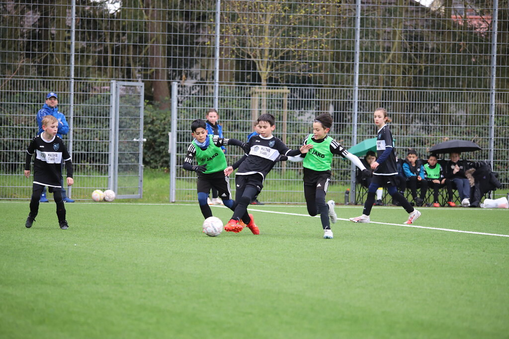 IMG-4958.JPG
