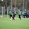 IMG-4958.JPG