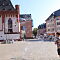 IMG-7845.JPG
