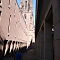 IMG-7873.JPG